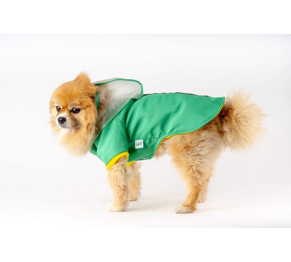 ŞEFFAF KAPÜŞONLU YAĞMURLUK YEŞİL